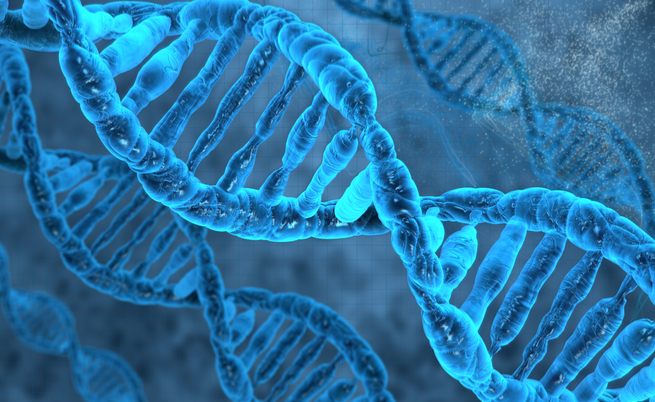 Giornata internazionale della malattie rare 2018: il Volo di Pegaso