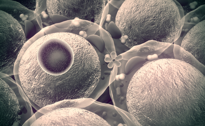 diabete gestazionale: cosa mangiare?