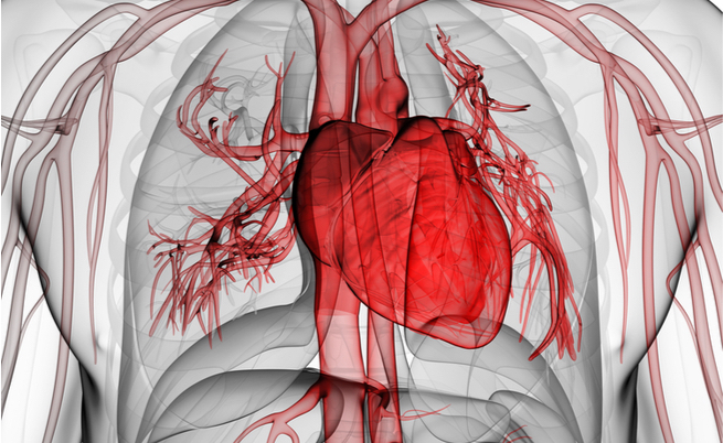 disfuzione erettile e disturbi cardiaci: il legame