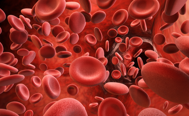 diagnosi autismo: in arrivo un test del sangue e delle urine per diagnosticarlo in modo precoce