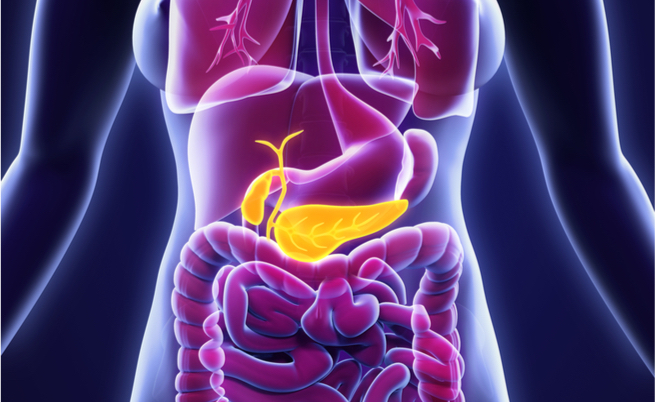 lipasi alta e amilasi alta: ecco le cause e i sintomi della condizione