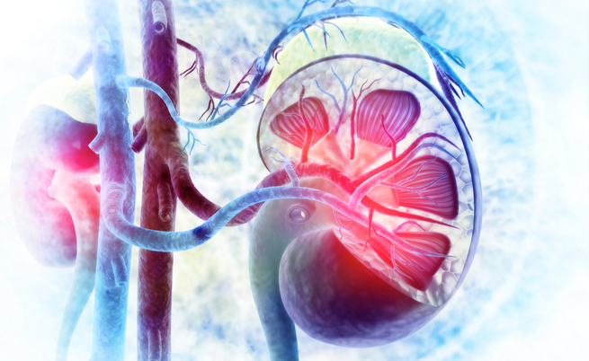 glomuronefrite e diabete: ecco il legame