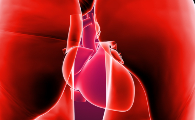 Lo stress nelle donne aumenta il rischio cardiaco e i problemi di circolazione