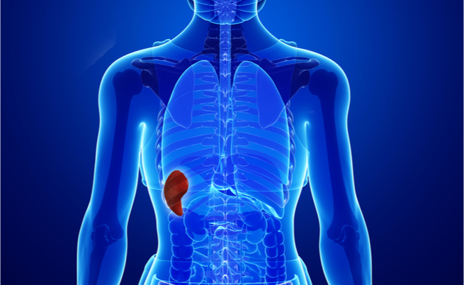 Rimedi per il dolore alla milza