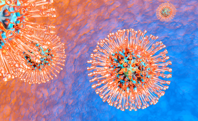 Dove compare l'Herpes virus? Labbra, genitali, torace e occhi