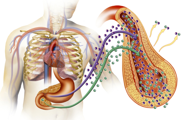 alimenti basso indice glicemico: i piselli per i diabeti sono un alimento perfetto