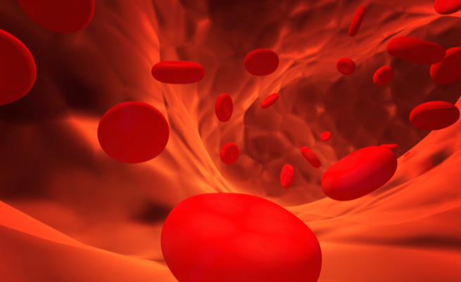 Carenza di ferro: come aumentare l'assorbimento