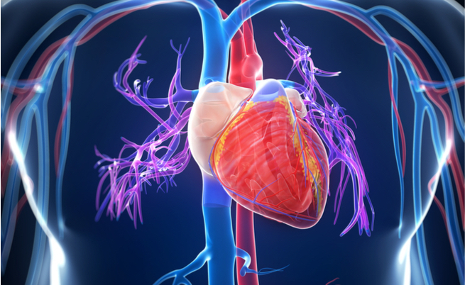 Recupero dopo un infarto: arriva un gel iniettabile