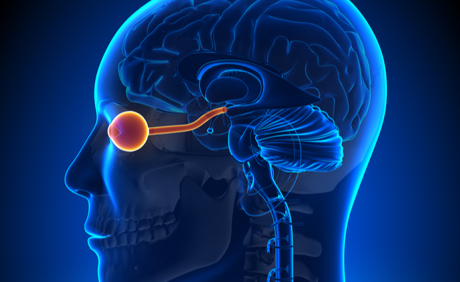 Glaucoma e té: ecco il legame