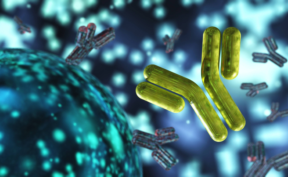 Componente monoclonale e complicanze: vediamo quali sono