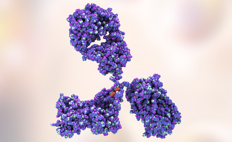 difese immunitarie basse: migliorarle con la micoterapia