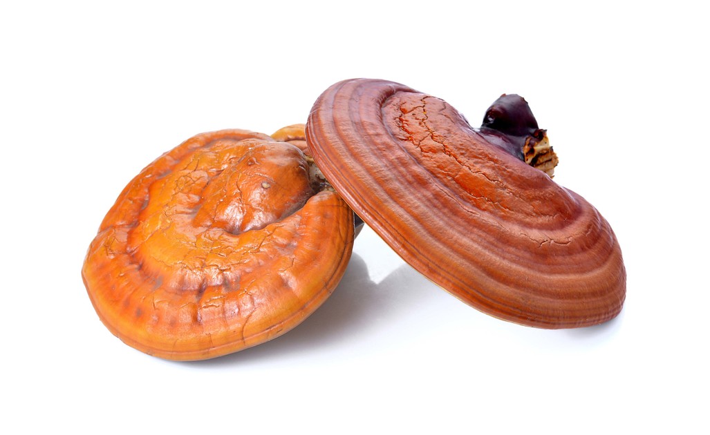 Riesci: migliorare le difese