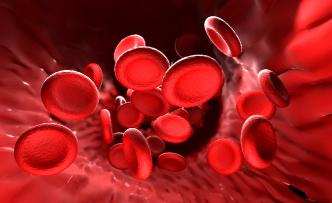 I valori della bilirubina alta