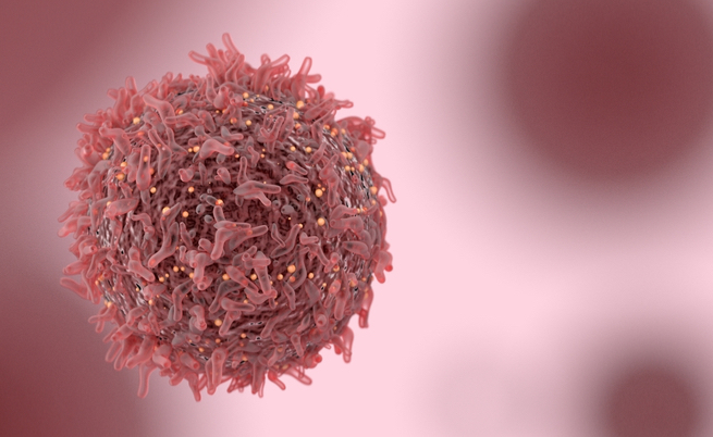 Zuccheri e cancro: ecco spiegata la relazione