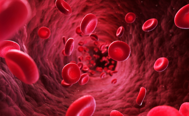 Trasfusioni di sangue: ecco perché il sesso di chi dona può fare la differenza