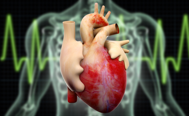 Operazioni a cuore aperto: meglio di pomeriggio a causa del nostro orologio biologico