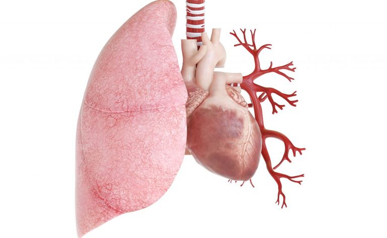 patologie cardiache: la storia di un piccolo eroe