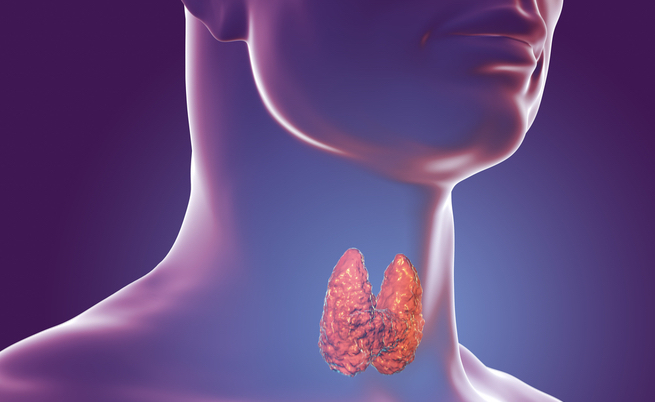 Tiroide e sale: ecco qual è il legame