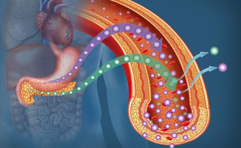diabete: cosa mangiare
