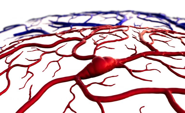 ictus: i diritti previsti dalla Legge 104 per i familiari.