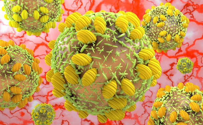 I test per la diagnosi dell'epatite C