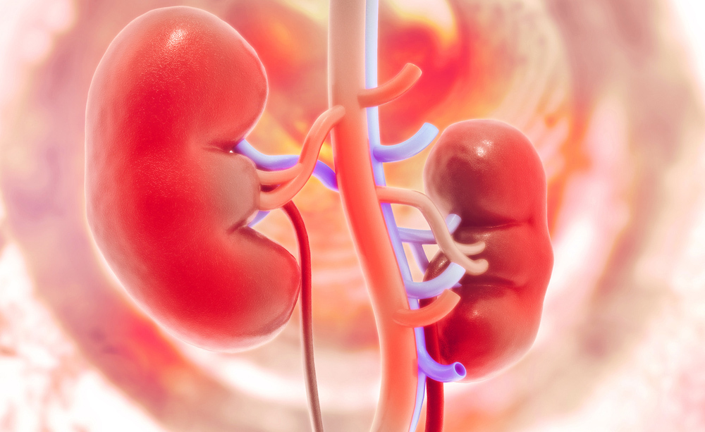 insufficienza renale: la dieta consigliata