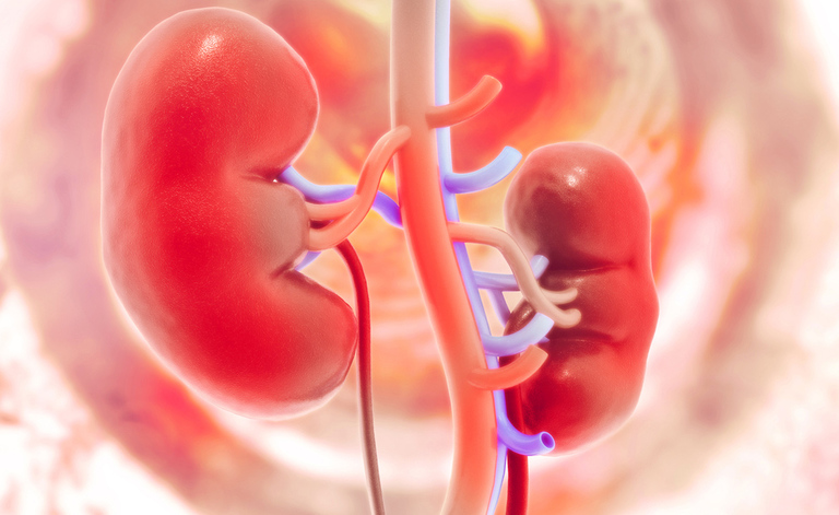 insufficienza renale: la dieta consigliata