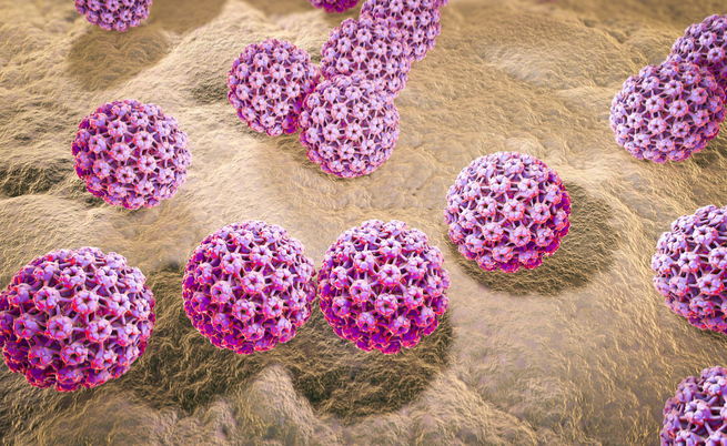 Condilomi genitali: le cause nel papilloma virus umano