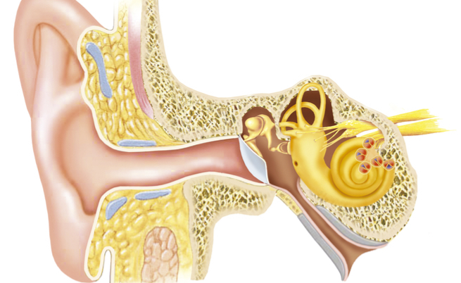 Sangue dall'orecchio: otite, perforazione del timpano e altre cause