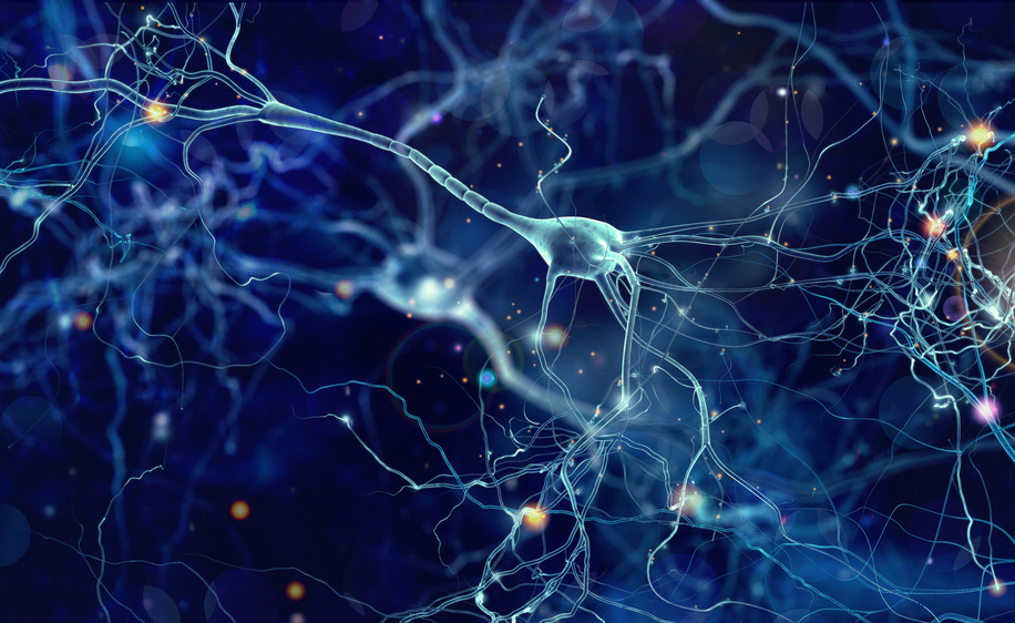 autismo: i sintomi da valutare per una diagnosi precoce