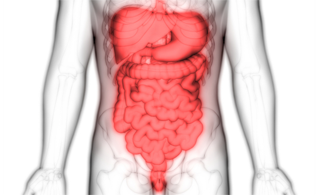 Diarrea: cause e alimentazione corretta