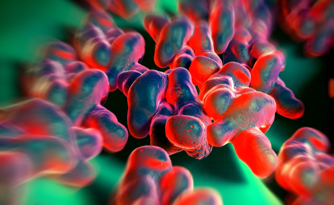 Le cause della diarrea