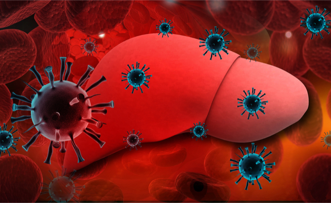 Epatite B: sintomi, trasmissione e vaccino
