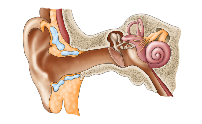 I sintomi del neurinoma acustico (tumore all'orecchio)