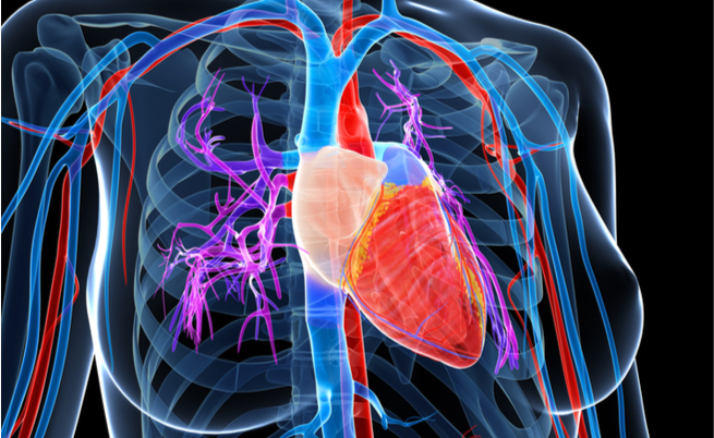 Pressione sanguigna: i valori corretti per ogni fascia di età