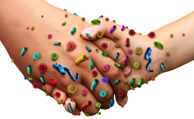 Mani: ecco i batteri che vivono sulle nostre mani e come lavarle correttamente
