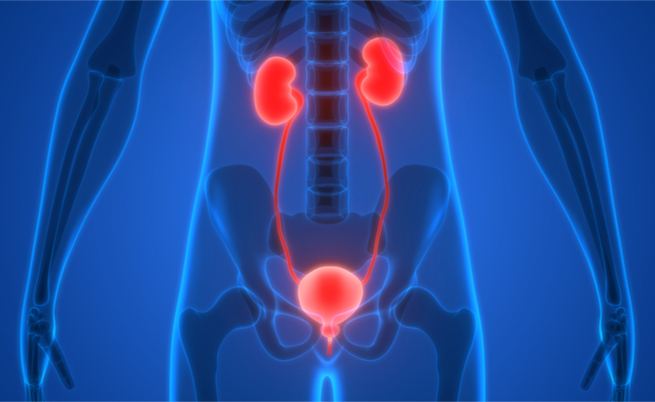 Minzione frequente e stimolo a urinare spesso: ecco le cause