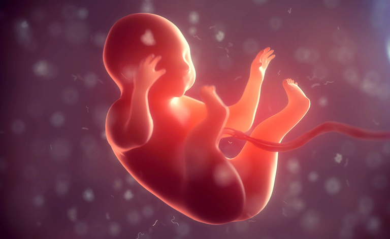 gravidanza e maternità