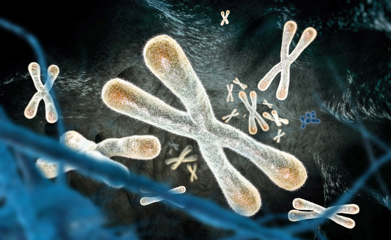 bresaola: i benefici delle proteine