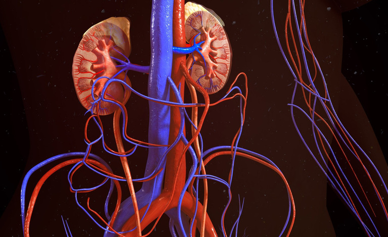 dialisi: cosa fare per star bene