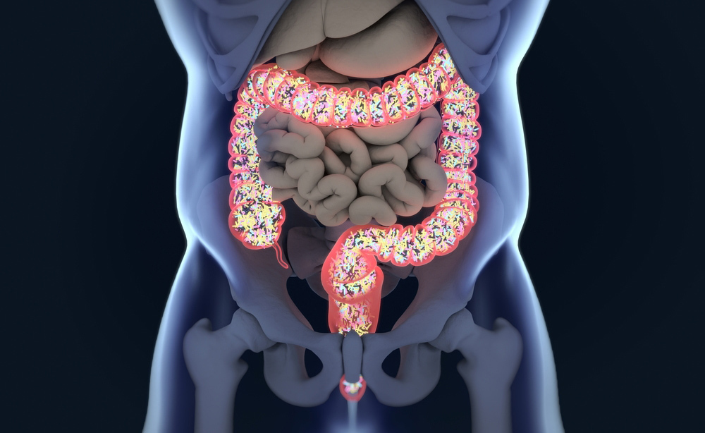microflora intestinale: l'importanza dei probiotici