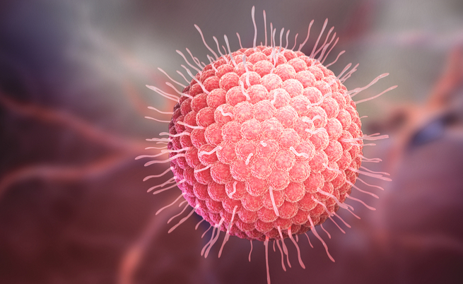 Herpes: tutto ciò che è importante sapere