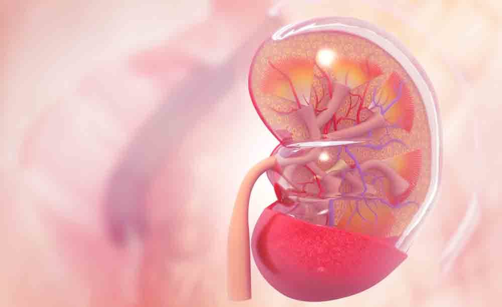 reni e pressione alta