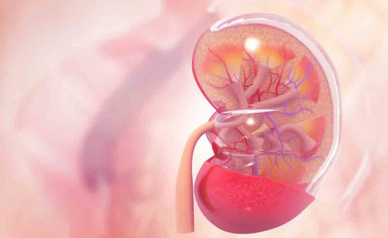 reni e pressione alta