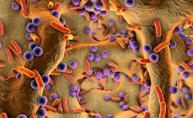 10 infezioni che puoi contrarre nei bagni pubblici