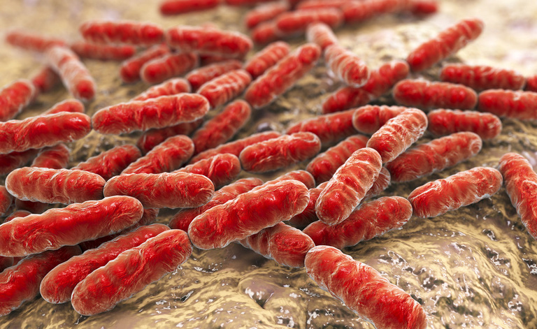 batteri: antibiotico resistenza