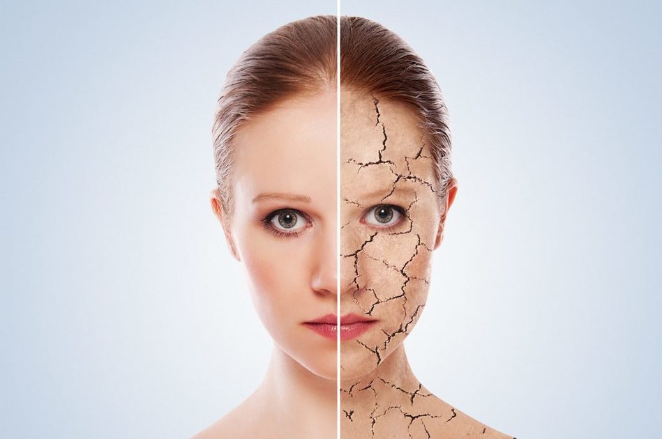 cibi ricchi di acqua