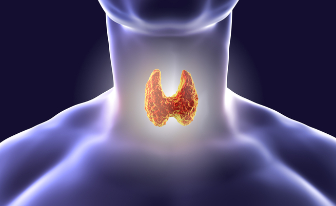 I cibi amici della tiroide: ecco quale alimentazione seguire se si soffre di disturbi alla tiroide