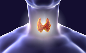 Problemi alla tiroide: quale alimentazione scegliere?