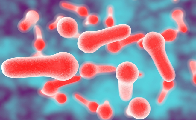 Il botulino e le conserve alimentari: qualche consiglio per evitarlo